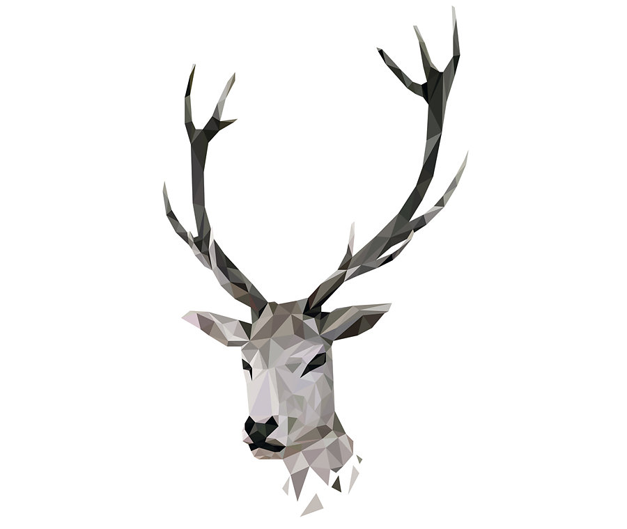 cerf-1.jpg